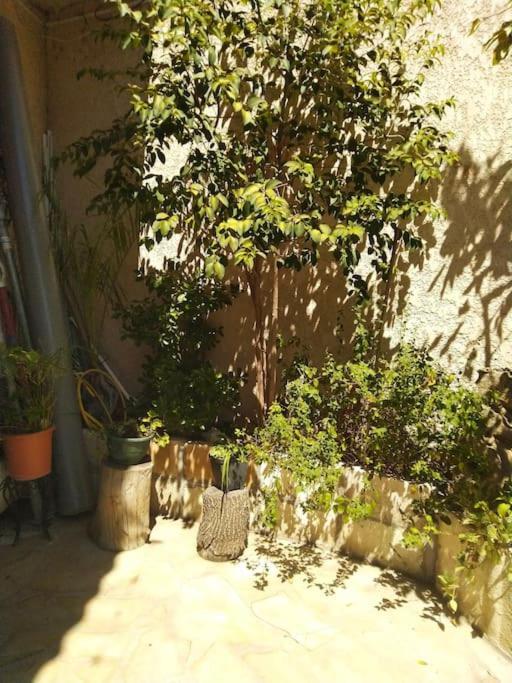 Studio Ideal Pour Deux Voyageurs Sur 马赛 外观 照片